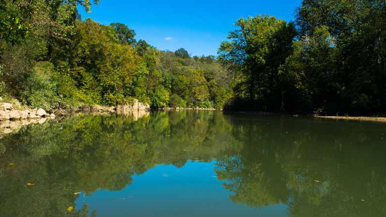 the blue sky reflected in the waters of Harpeth River, Tennessee, with trees along the shore