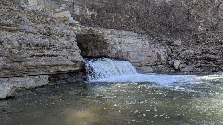 Montgomery Bell Tunnel at Harpeth River State Park in Tennessee