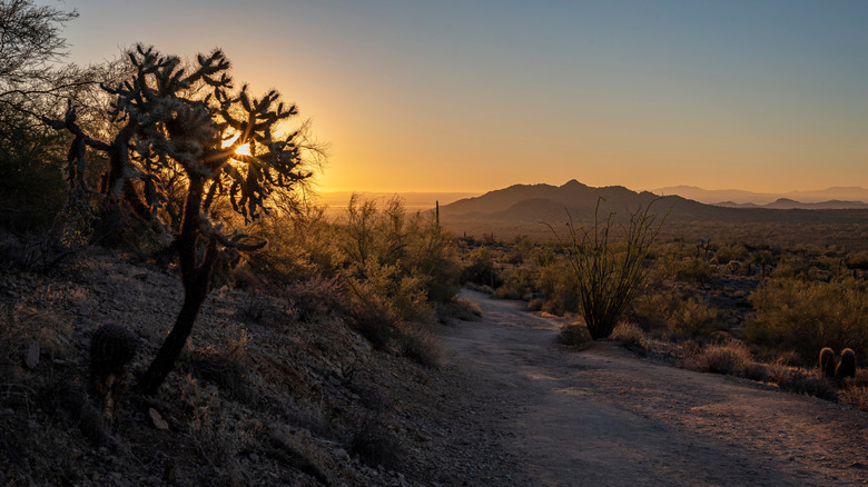 San Tan Mountain Regional Park hiking Trails