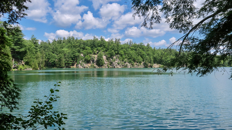 Lake and trees in Gatineau Park in Ottawa, Canada