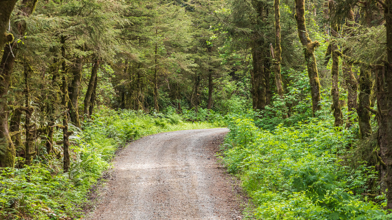 Unpaved road in Brookings, OR