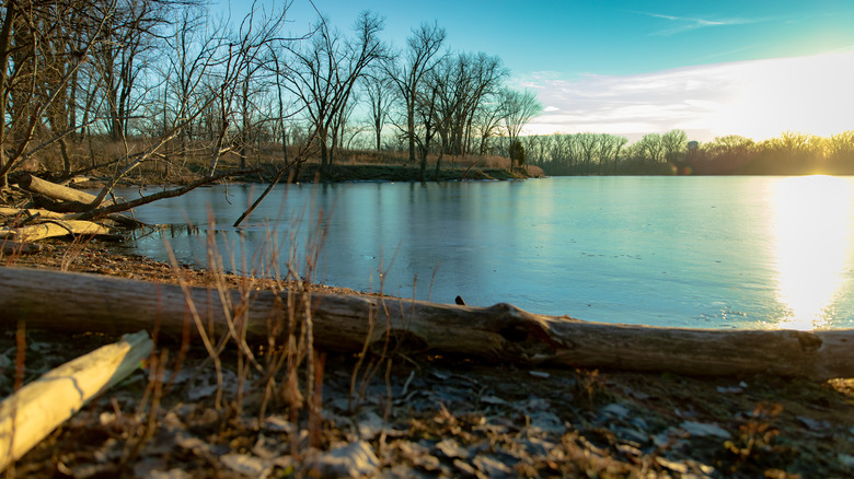 Winter sunset at Skokie Lagoons