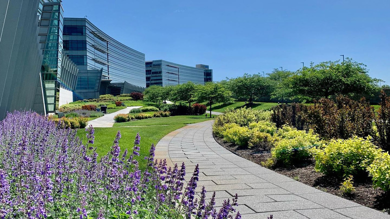 Purple flowers, greenery, and office buildings lining a stone walkway in Deerfield, Illinois, outside Chicago