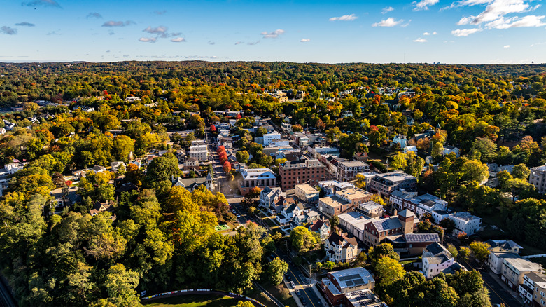 Ariel-view image of Dobbs Ferry in New York, with trees and low buildings