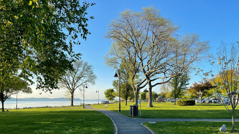 Trees and a walking path in Dobbs Ferry Waterfront Park