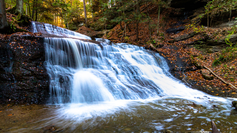 Waterfall in wooded area