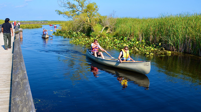Visitors canoeing through the waters of Point Pelee National Park