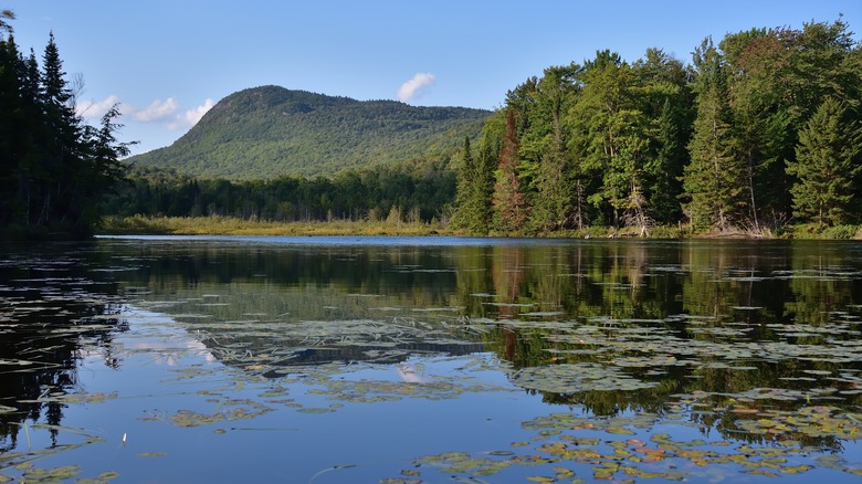 Pond and forest in Mont Orford National Park