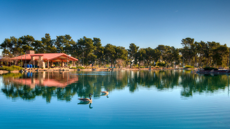 Calm lake with greenery in the background in Craig Ranch Regional Park, North Las Vegas