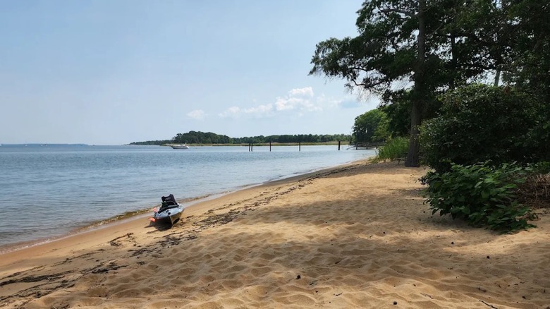 View of the sandy beach at Hart-Miller Island State Park in Maryland