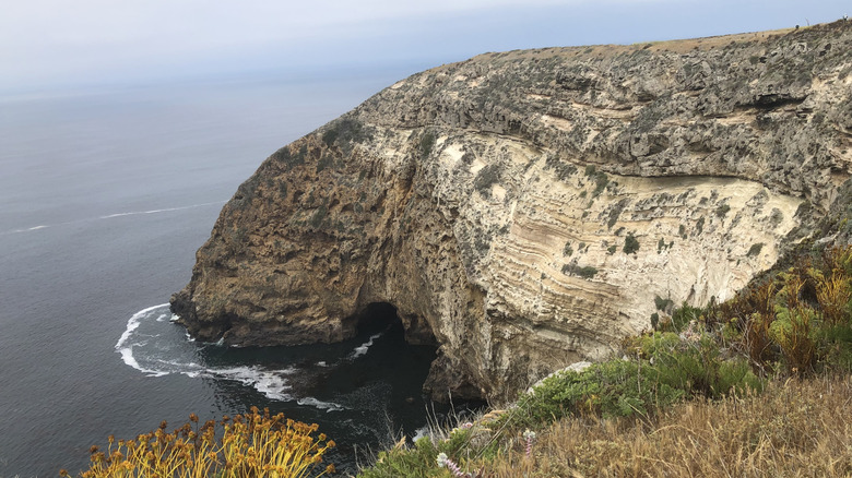 A view from the Potato Harbor Trail on Santa Cruz Island in Channel Islands National Park.