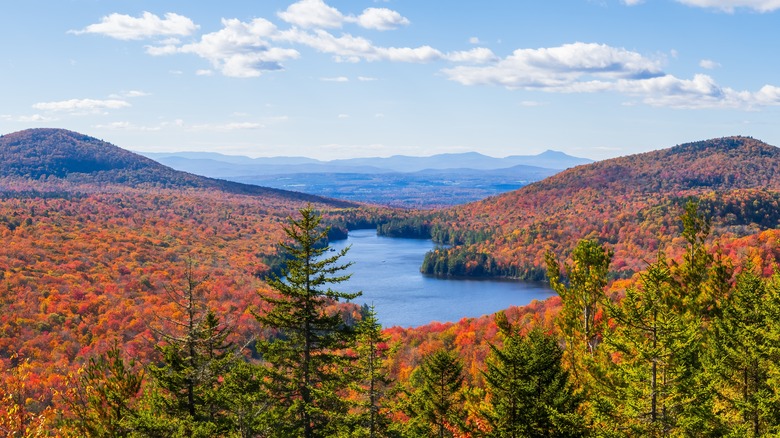 Panoramic view of fall foliage over a lake in Groton State Forest, Vermont.