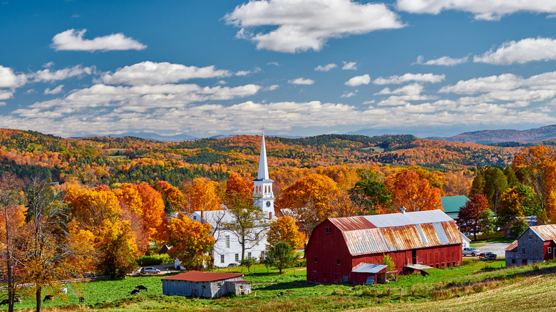 Countryside foliage featuring a church steeple in Peacham, Vermont