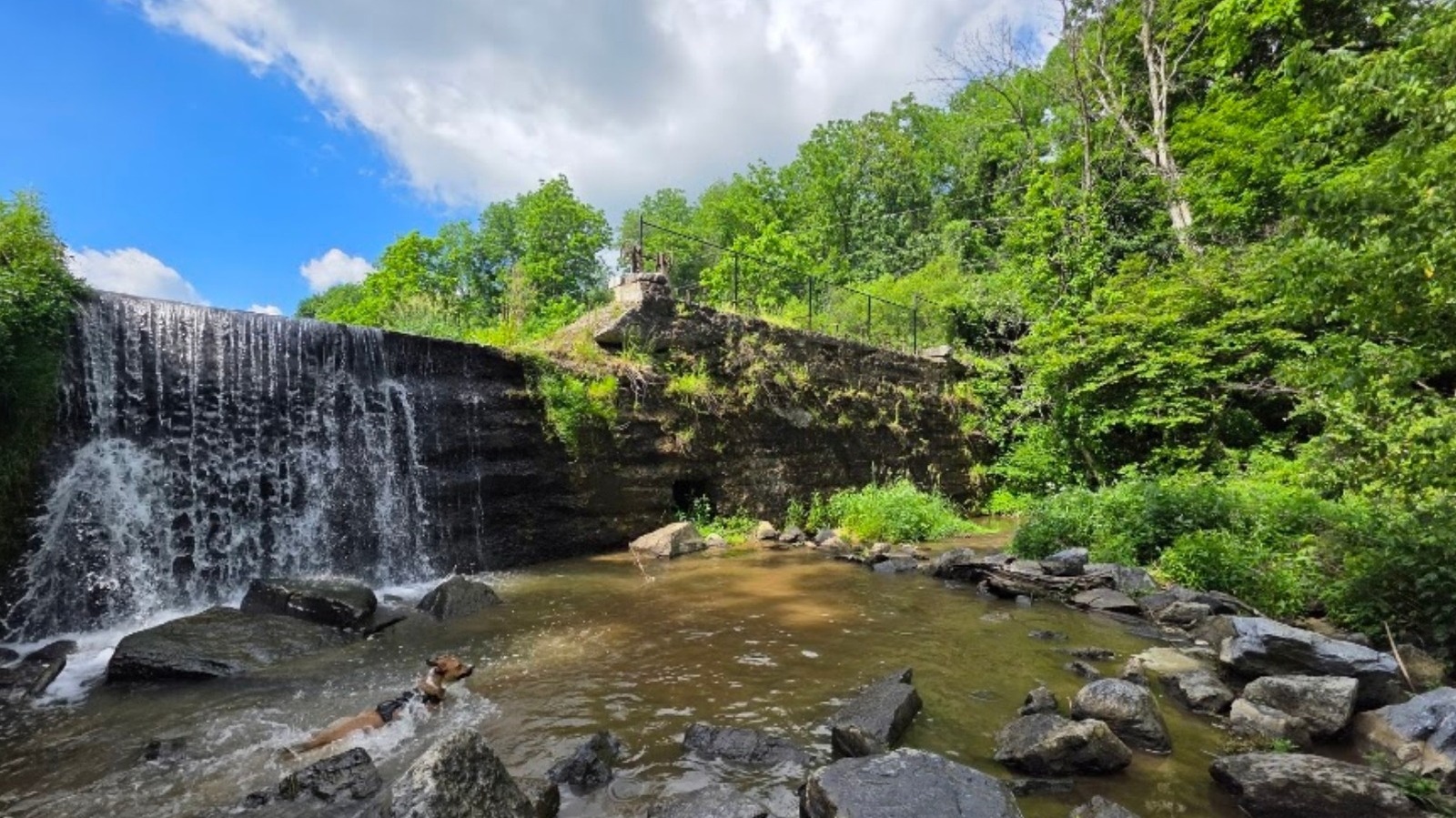 Just Outside Allentown Is A Charming Pennsylvania Escape With Sprawling Lehigh Valley Parks And Recreation - Islands