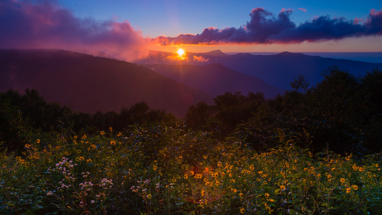 View from the Blue Ridge Parkway near Craggy Gardens