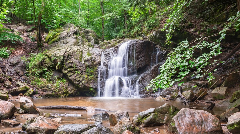 Cascade Falls in Patapsco Valley State Park, Ellicott City, Maryland