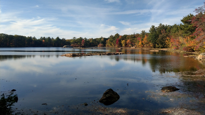 A view of a large lake at Breakheart Reservation in Saugus