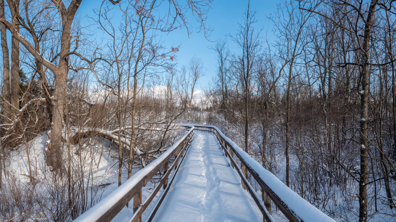 View of a walkway in the nature reserve in Clarence, New York