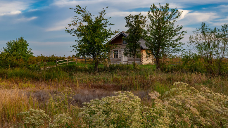 Rustic log cabin, near trees and grassland, at Goose Lake Prairie, Illinois