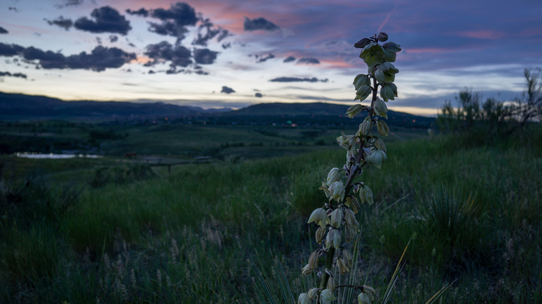 Bear Creek Lake Park in the evening, Lakewood, Colorado