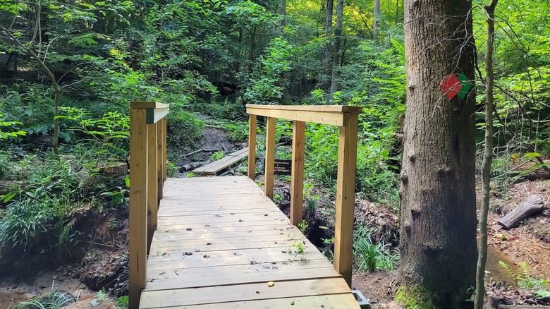 A trail located in W.D. Thomson Park in North Druid Hills, Atlanta, Georgia