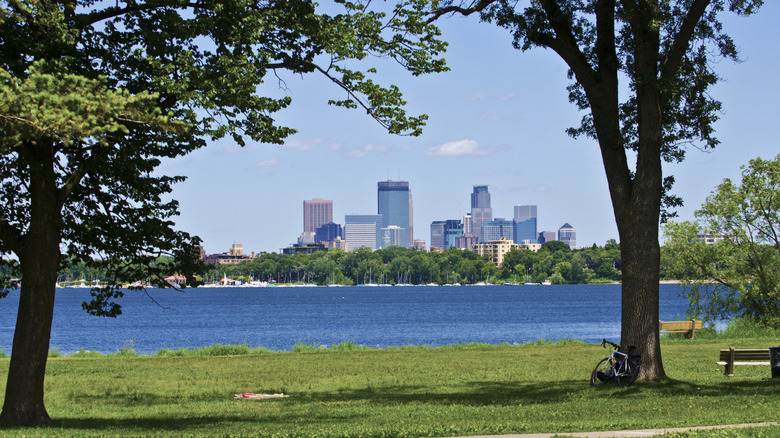 Downtown city buildings framed by trees at lake