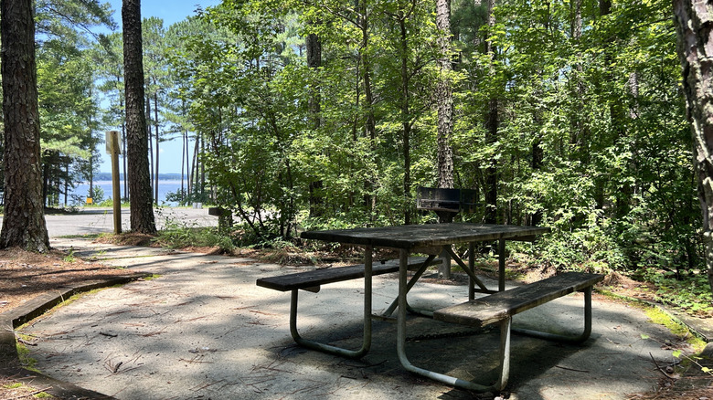 Picnic area at the Ebenezer Church entrance with Jordan Lake in the background, Chatham County, North Carolina