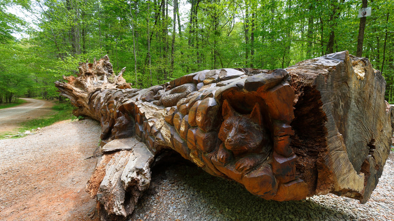 A carved log called "Art Log" is shaded by hardwoods at William B. Umstead State Park, in North Carolina.