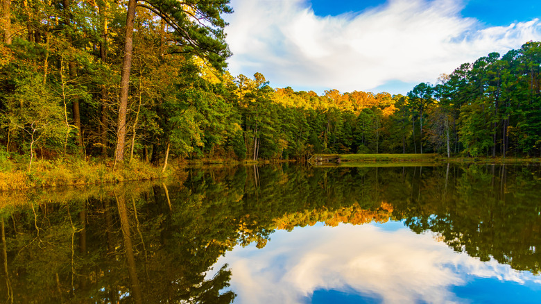 Fall foliage reflecting in the lake at William B. Umstead State Park, in North Carolina.