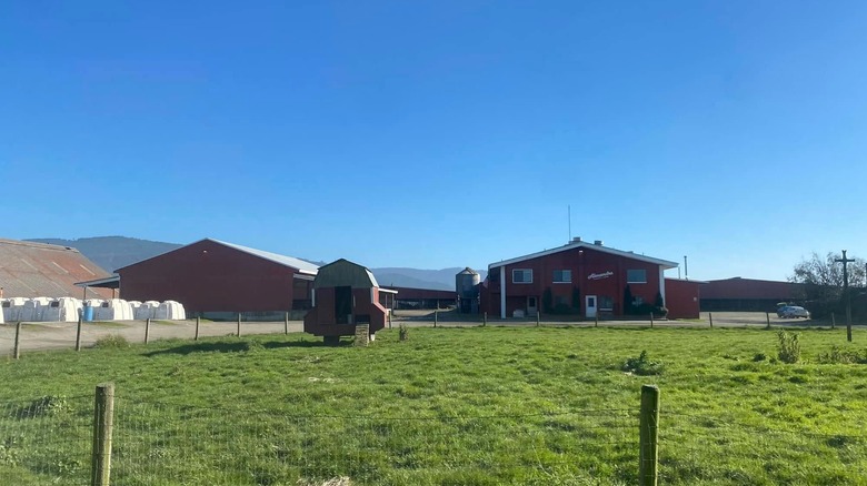 A & M Family Farms in Pleasant Hill, Oregon
