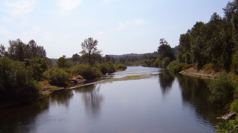 The Coast Fork Willamette River in Lane County, Oregon