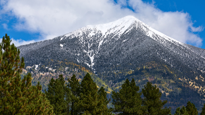 Snowy mountain peak with trees below Kachina Peaks Wilderness