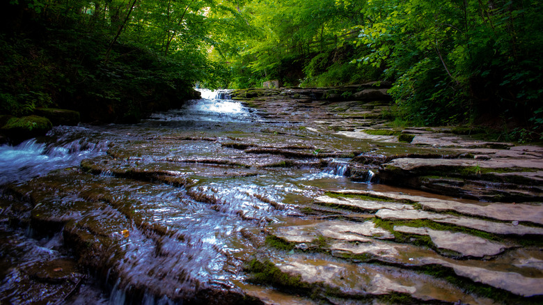 Waterfall in Saunders Spring Nature Preserve, Radcliff, KY