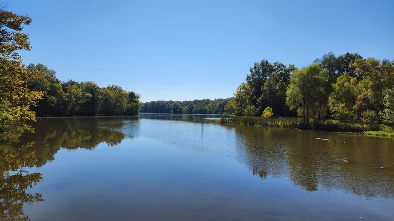 Bledsoe Creek State Park, Tennessee