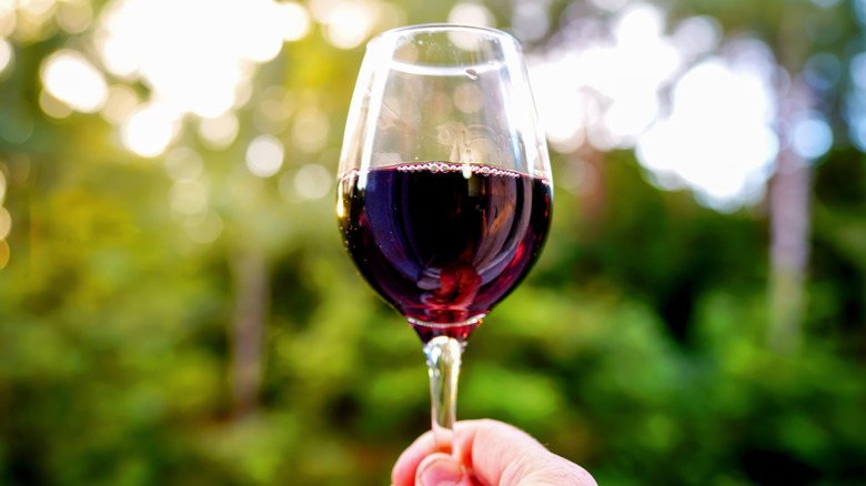Hand holding glass of red wine against greenery