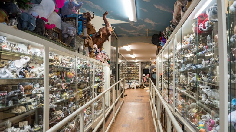 Interior view of Mister Ed's Elephant Museum and Candy Emporium