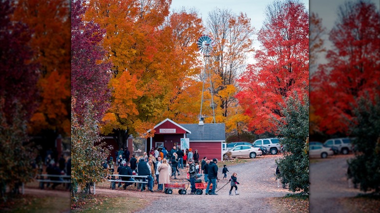 Families enjoying fall at a Michigan orchard