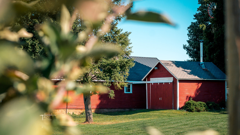 A red building in an orchard in Michigan