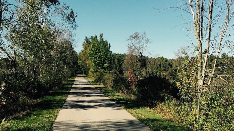 The White Pine Trail on a sunny day