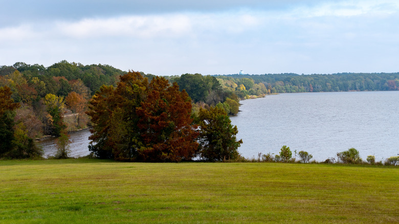 Trees stand over the Ross Barnett Reservoir north of Brandon, Mississippi