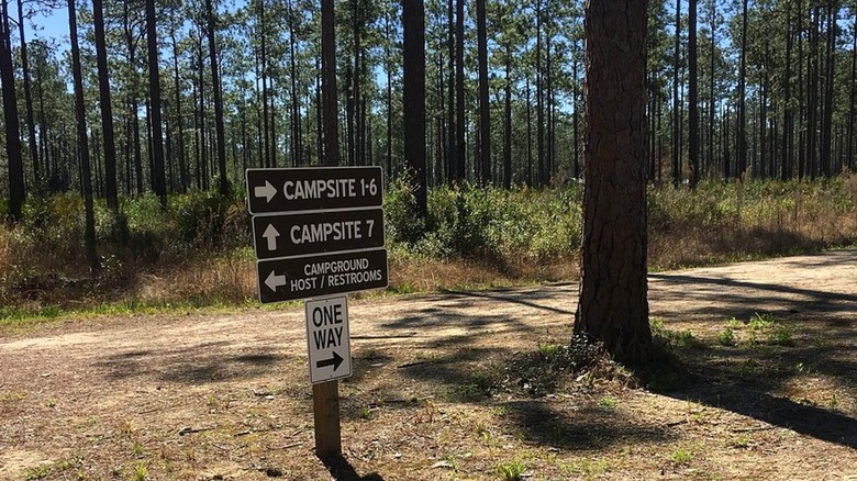 A sign with arrows pointing toward campsites in the forest