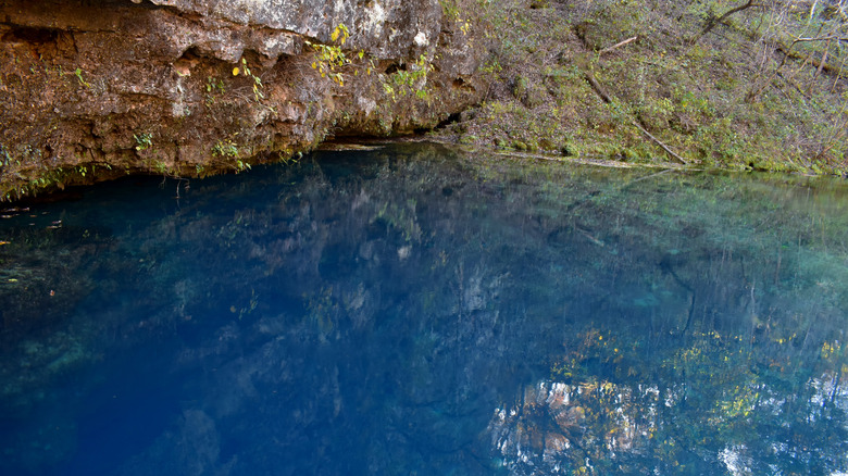 Trees and sky reflected in calm blue spring water
