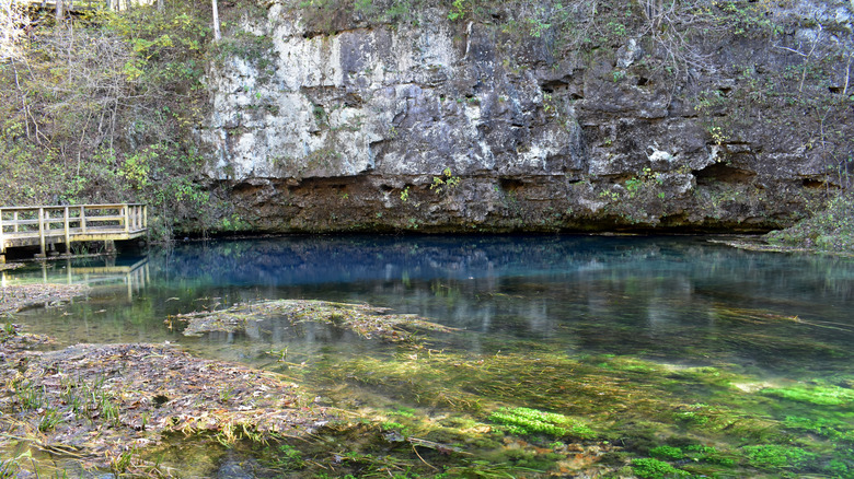 Boardwalk leading to bluff over deep spring