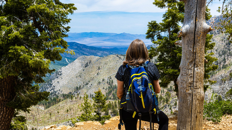 Hiker overlooking the landscape at Mt. Charleston