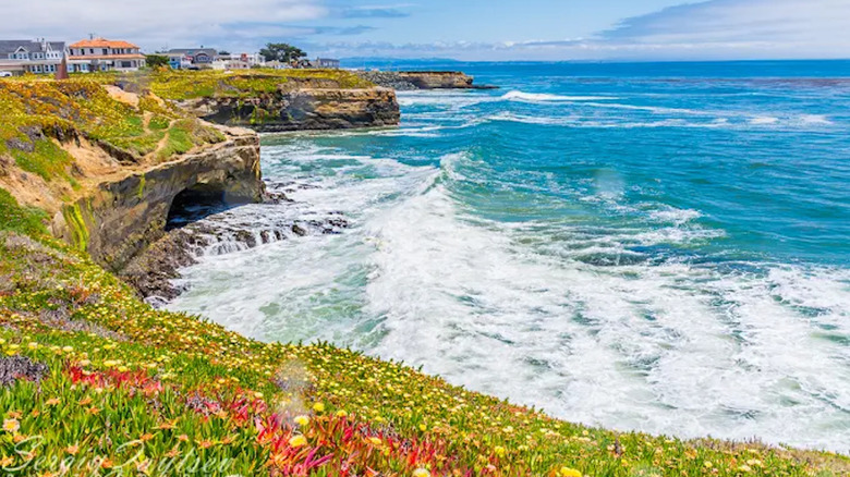 A view of the cliffs and the sea at Pyramid Park, CA