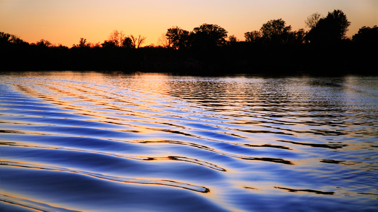 Ripples on one of the lakes that is part of the Huron River chain of lakes near the Pinckney Recreation Area