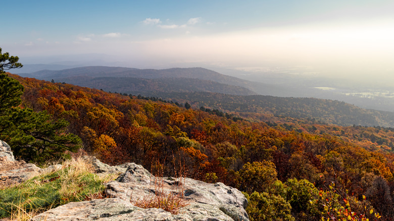 Ozark National Forest near Alma