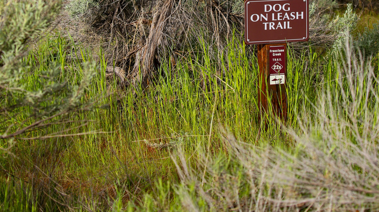 A sign in the Boise Foothills saying no bicycles and only foot traffic