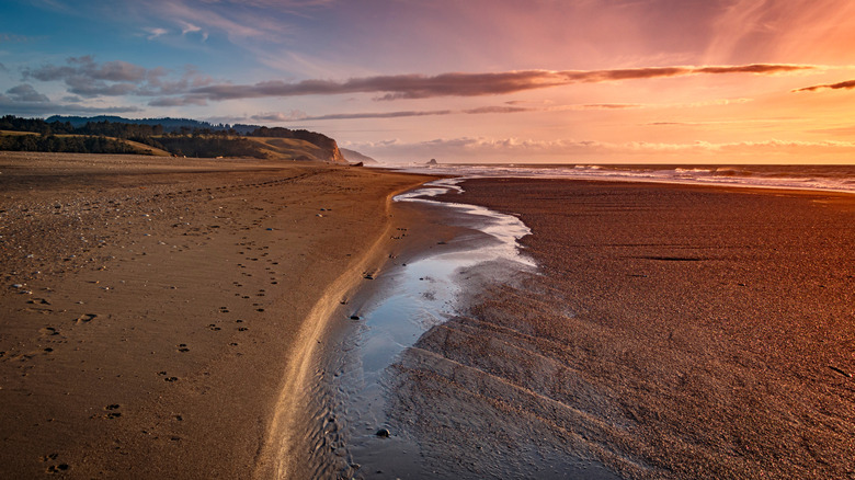 A gloriously long stretch of sand with ocean waves, footprints, cliffs and sunset at Centerville Beach.