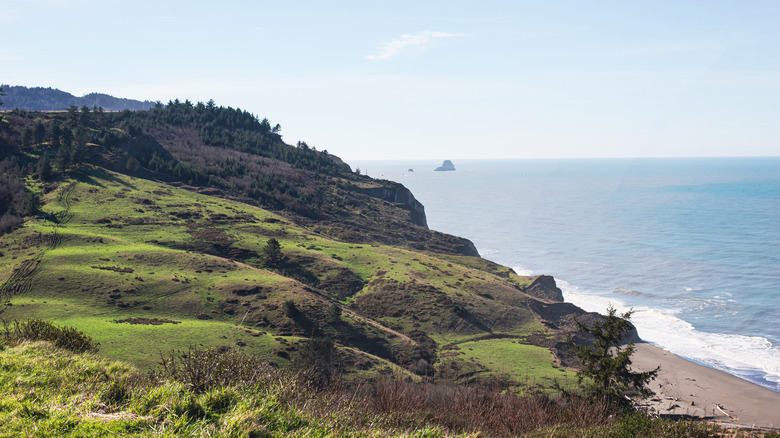 Grassy bluff walking trails overlooking Centerville Beach and the Pacific Ocean.